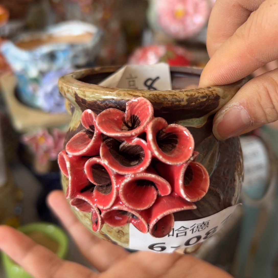 花盆，满20米发货爱退款拉黑