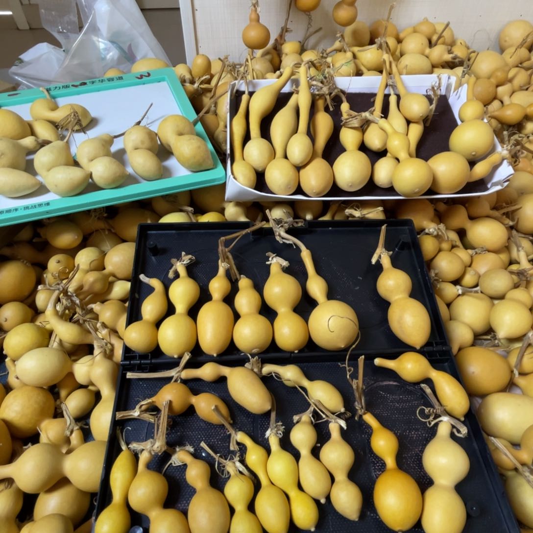 不*-葫芦村是我国最人口集中