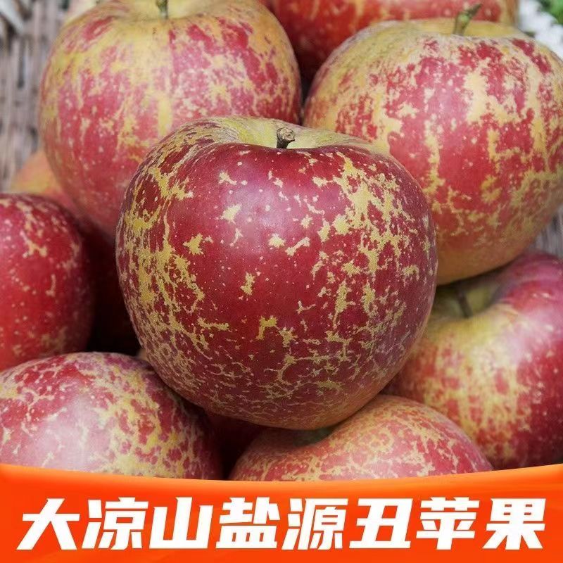 【丑苹果】大凉山盐源高山丑苹果脆甜多汁新鲜现摘产地直发
