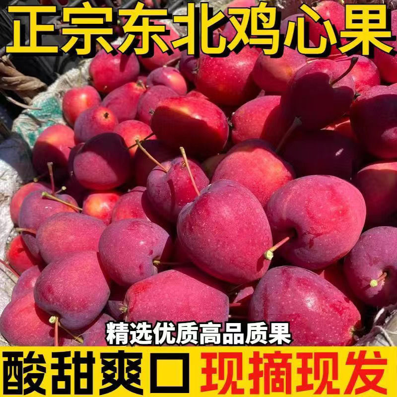 【头茬鲜果】东北特产鸡心果小苹果锦绣海棠果脆甜多汁新鲜批发