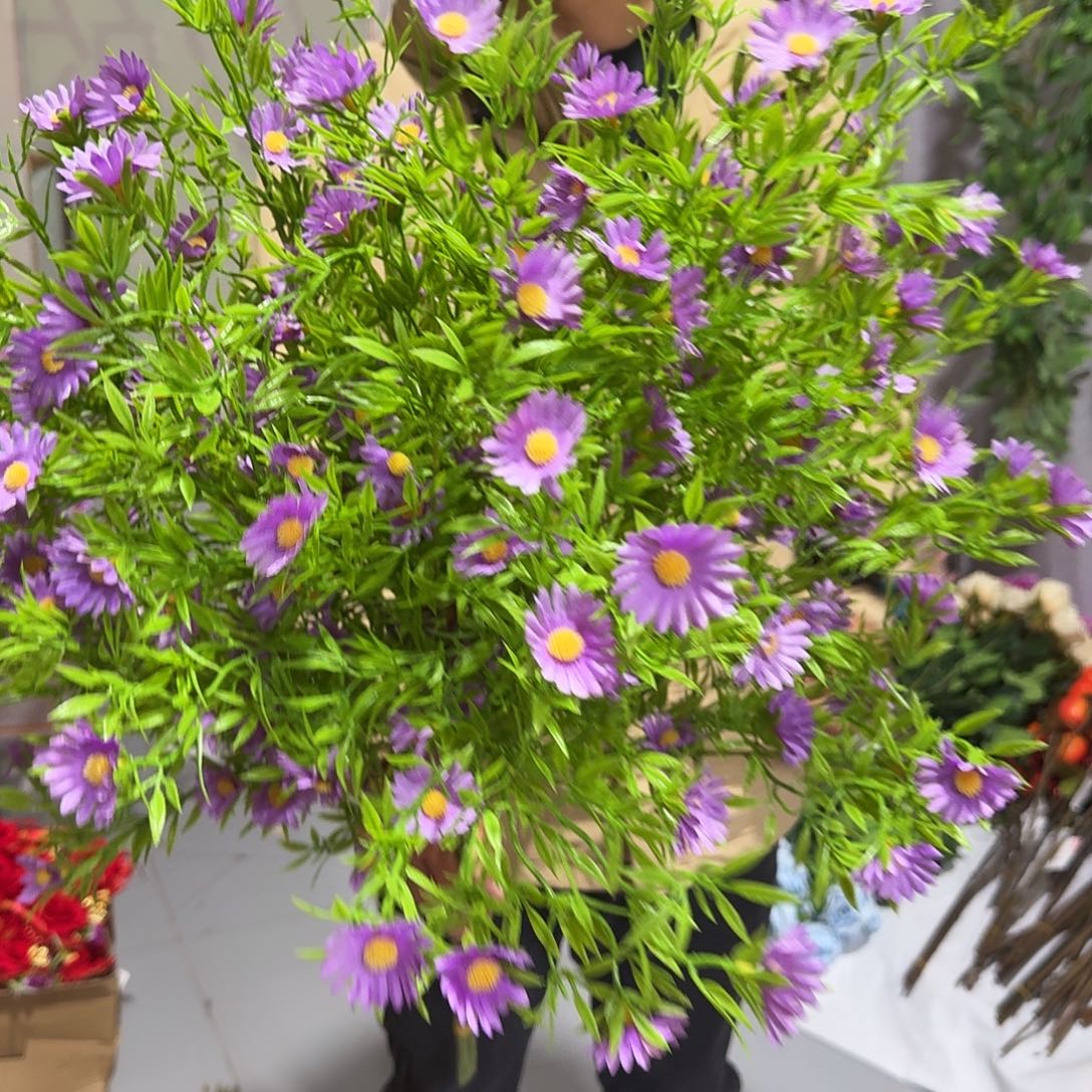 紫色小雏菊高枝10枝装