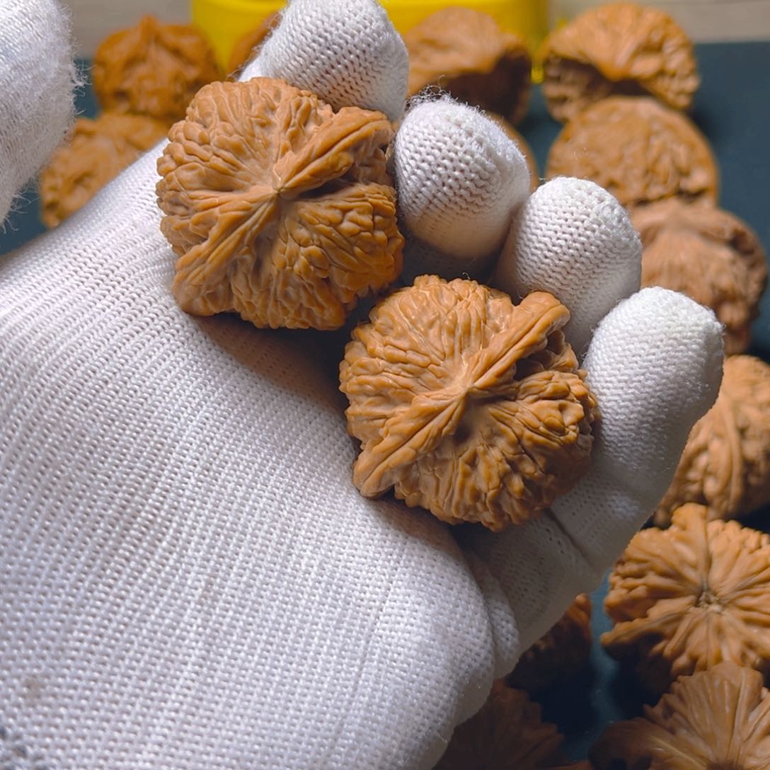 文玩核桃把件38白狮子