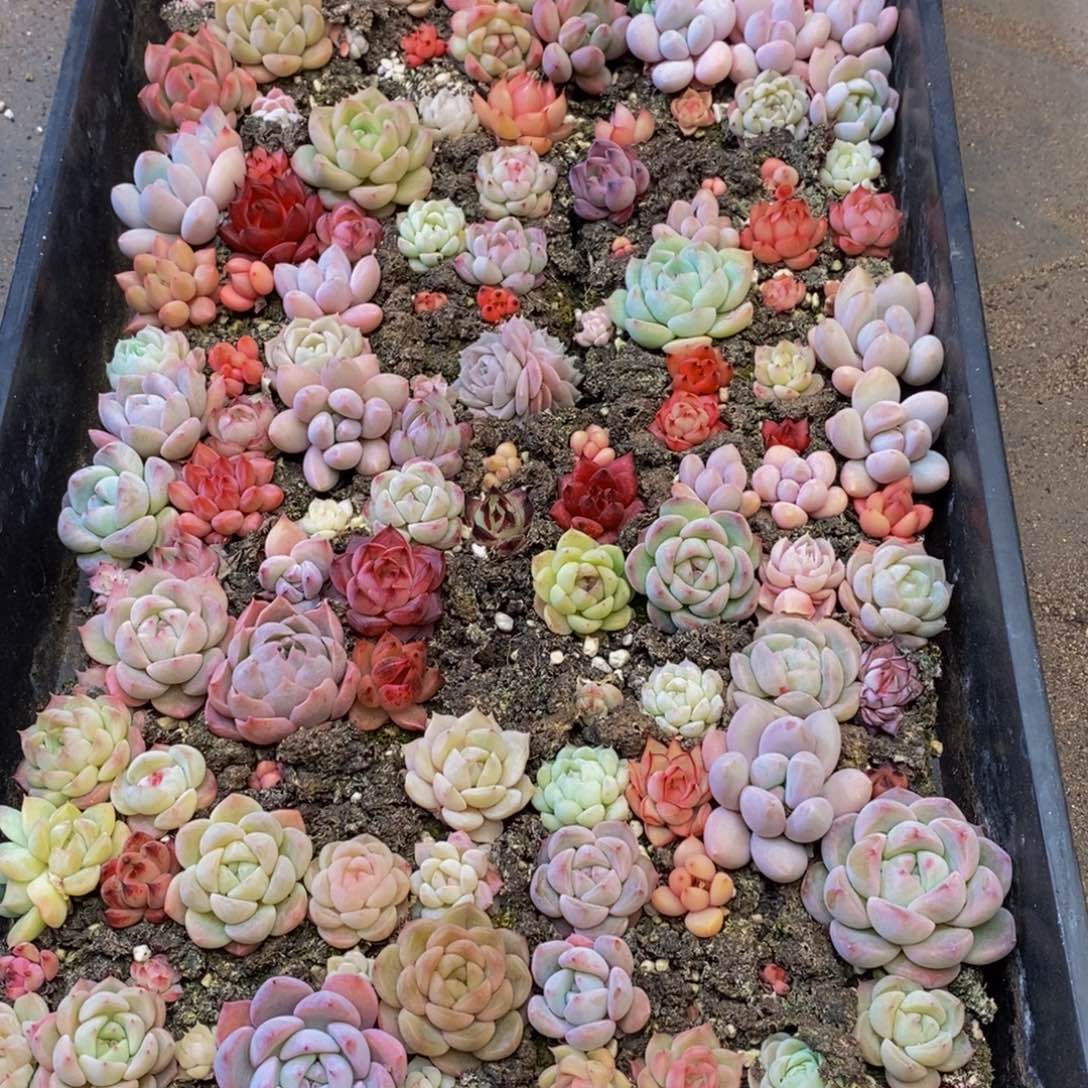 496的人生态度就是这样一