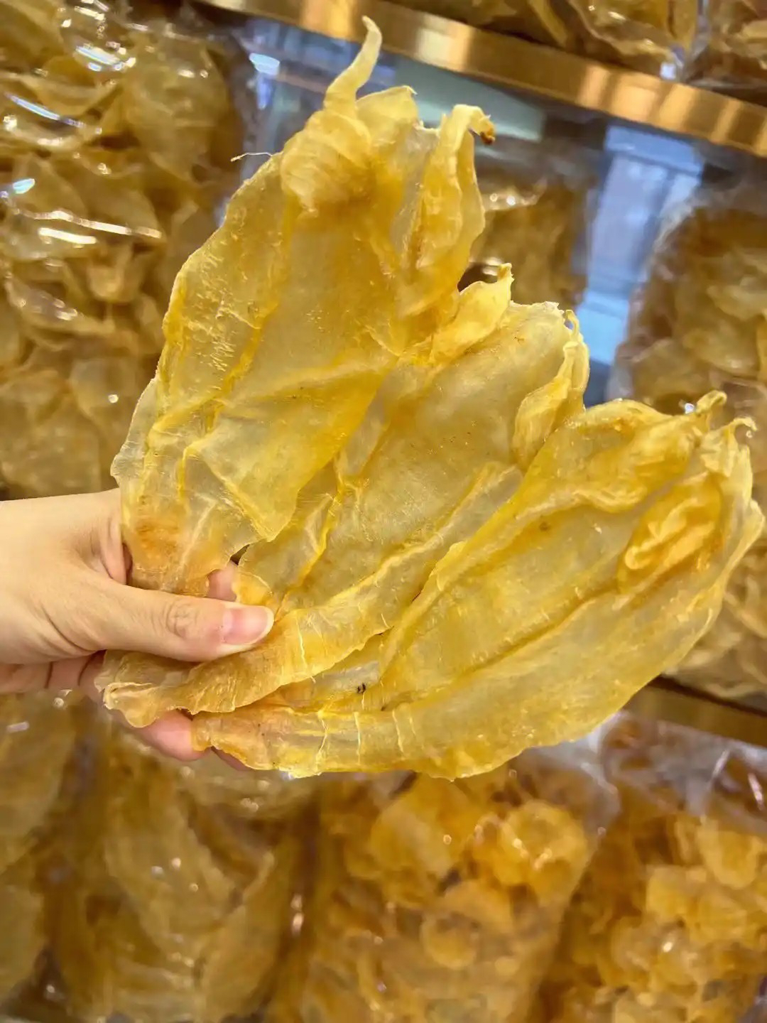北海胶 苏公 鸿浩海味