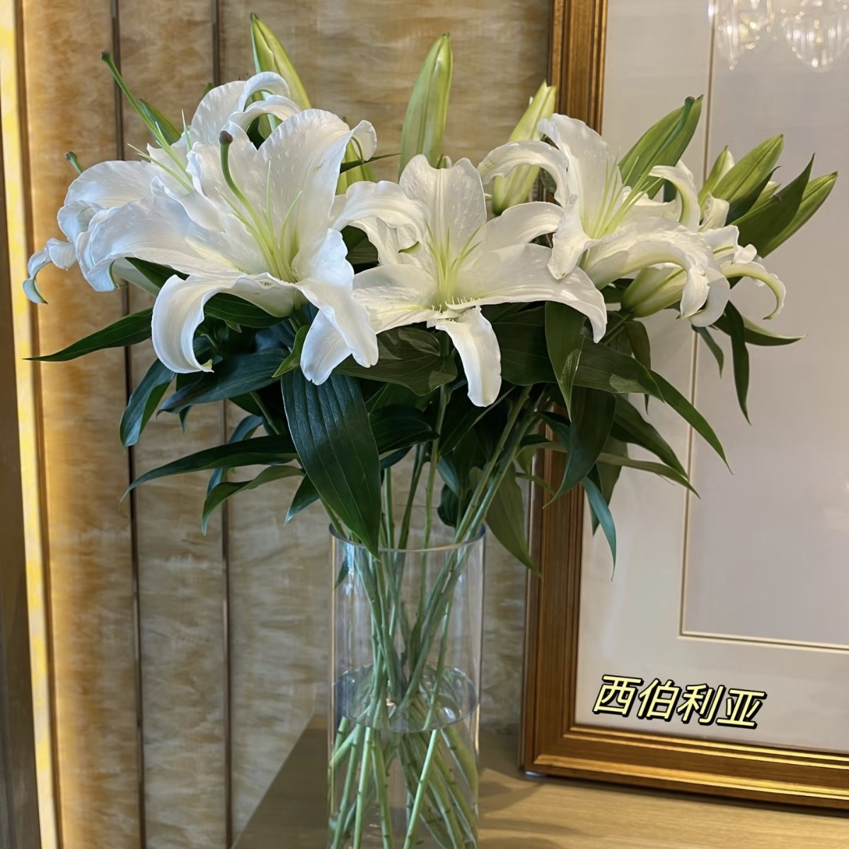【百合专区】花店用花、加5元顺丰包邮、含打包耗材、包售后