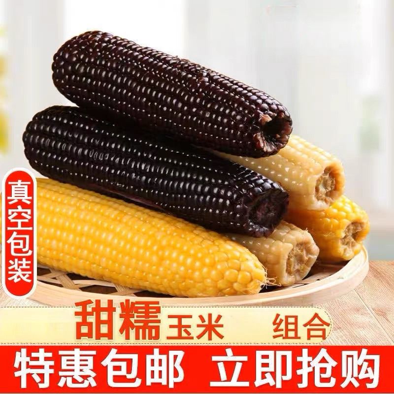 特价中小果12根5-6斤】东北黑糯玉米甜糯玉米棒花青素早餐真空3根