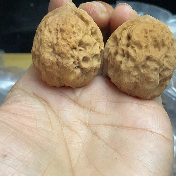 文玩核桃把件云南铁核桃基地92