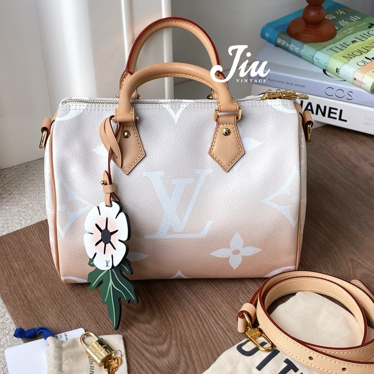 99新 LouisVuitton/路易威登 渐变speedy 25 肩带款芯片CJM2-7452