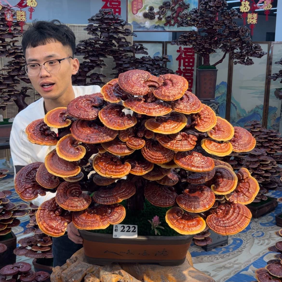 【闪购商品】888888