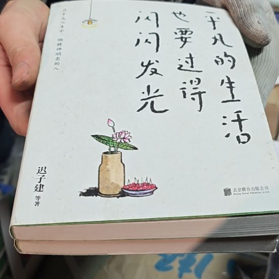 平凡的生活平装库存书（微瑕）