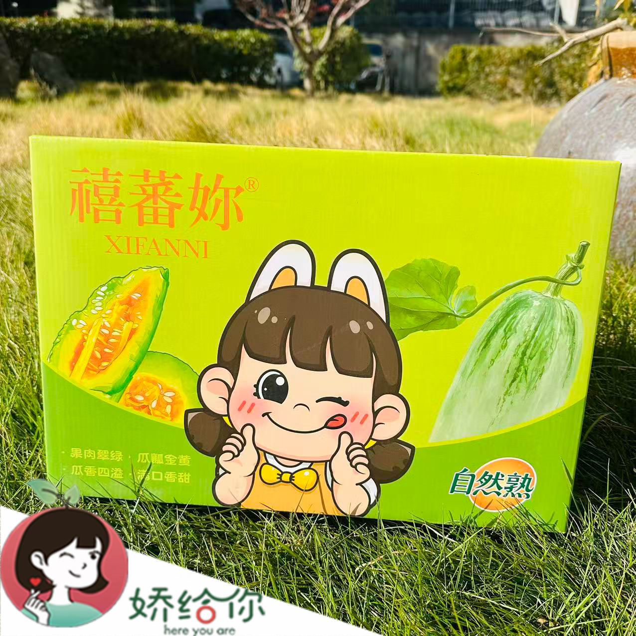 【顺丰包邮】当季新鲜酥脆甜瓜蜜甜流心时令约4斤左右礼盒装