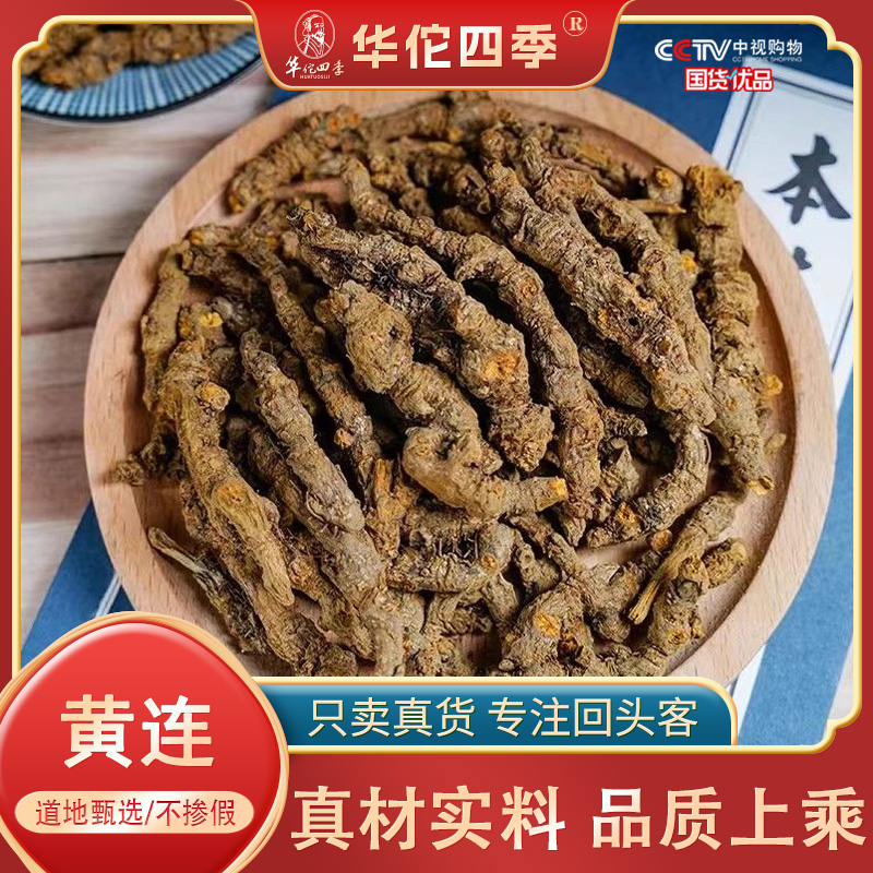 华佗四季黄连四川鸡爪连无熏无硫主根切片断面黄金味苦味浓售枸杞