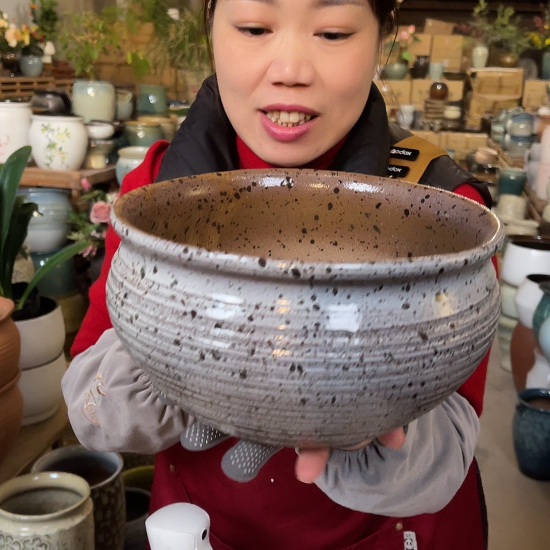 红陶高度14口径24