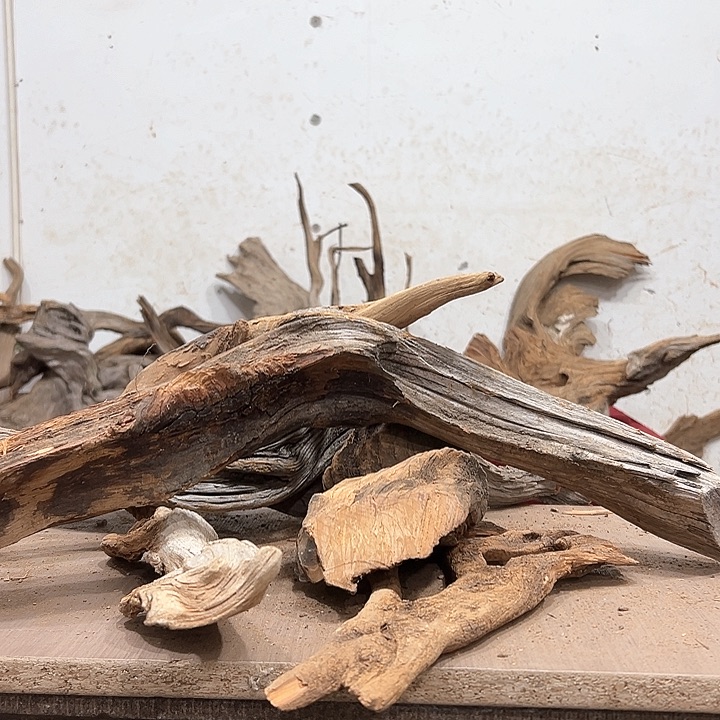 柏木虎**.我们的生活也是如此吧哈哈