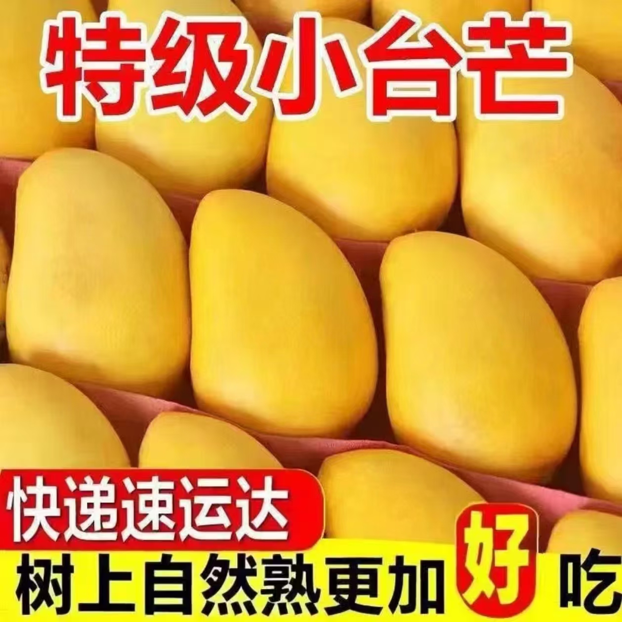 现摘现发新鲜应季小台农芒果放软吃香甜可口