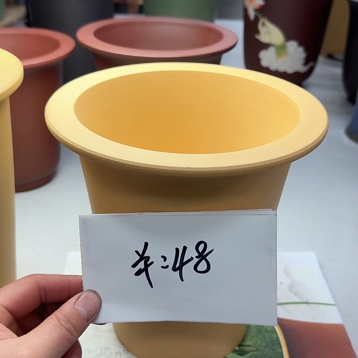 紫砂222222222222222