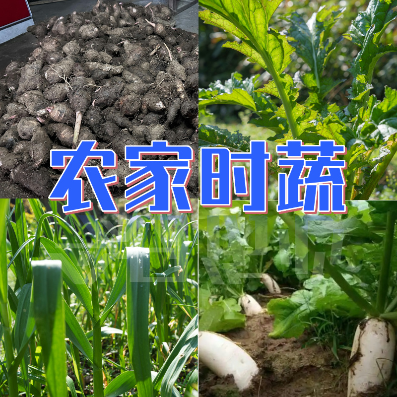 【时蔬类】农家时令蔬菜顺丰包邮