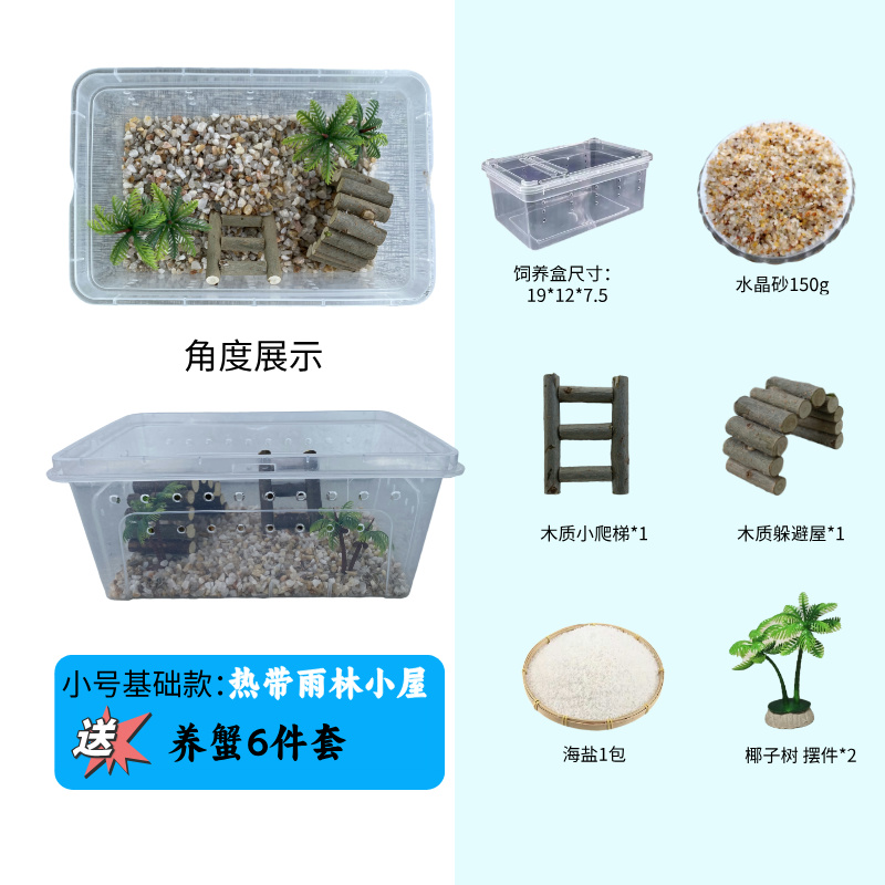 寄居蟹新手套盒雨林10只蟹+10个替换壳包活5只
