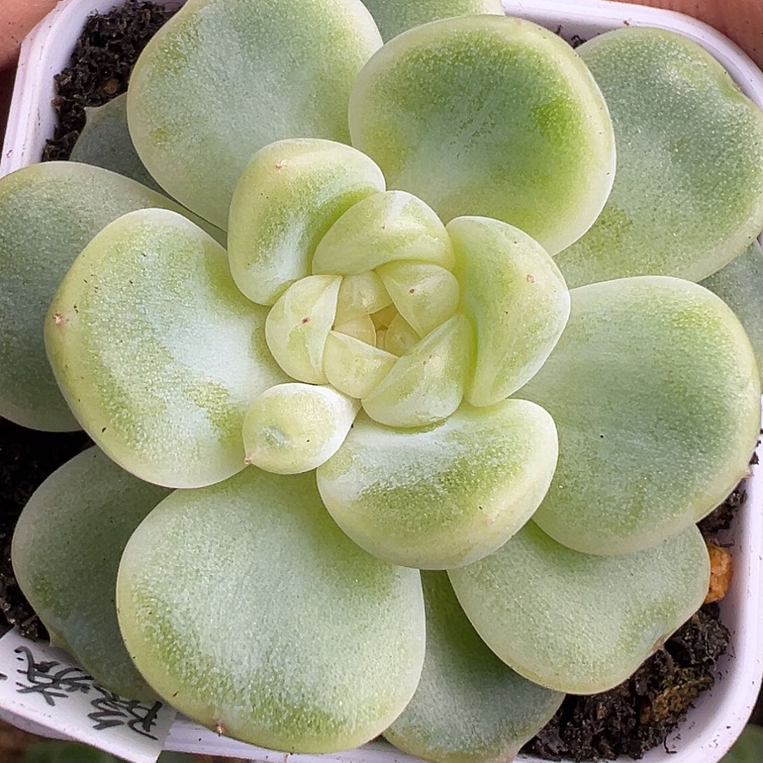 财富密码隐藏款。  