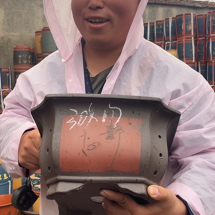 紫砂紫砂花盆盆栽