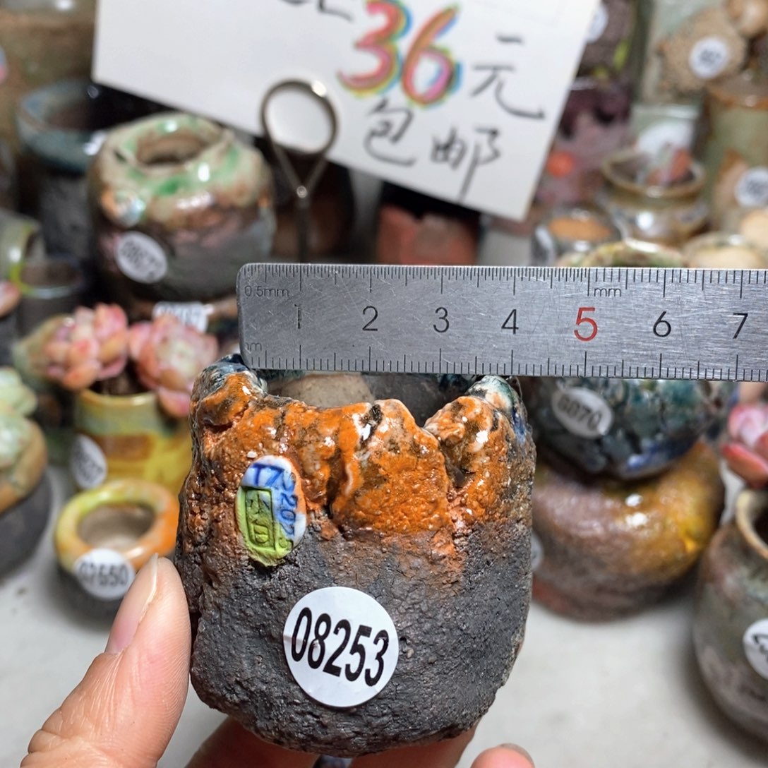 花盆拍3送一个小礼物