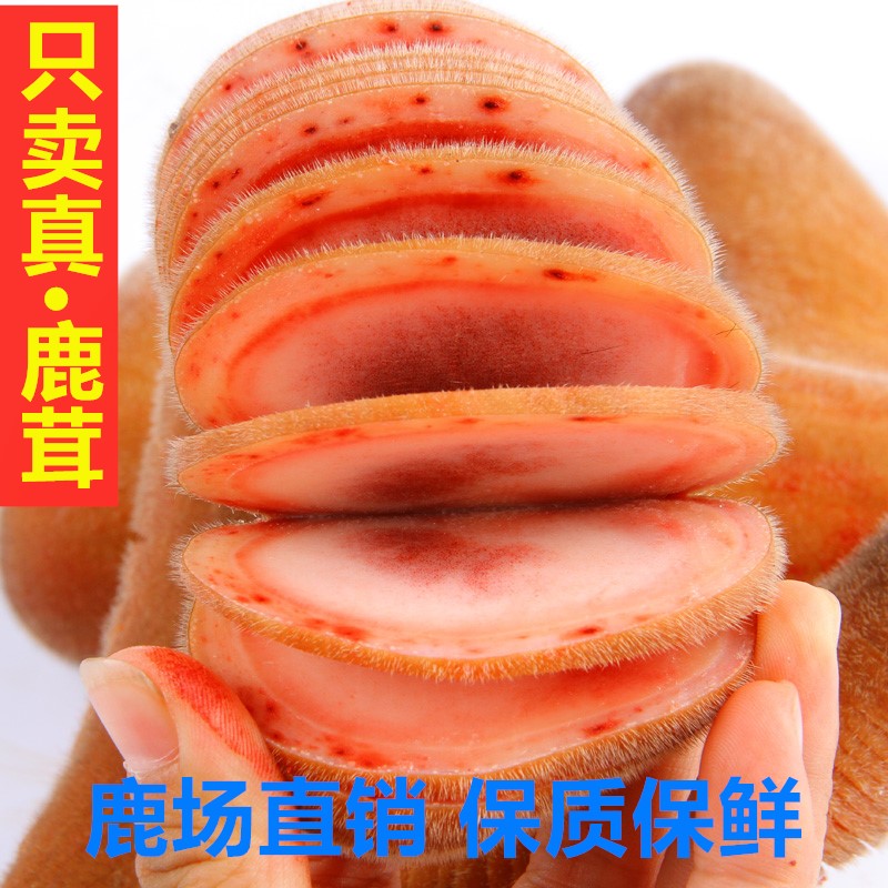 改价头茬吉林梅花鹿元宝茸/嫩头茸/二杠鹿茸/蜡头直播选泡酒材料