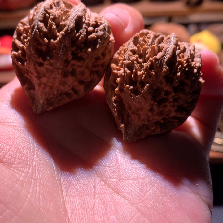 文玩核桃吊坠楸玥核16