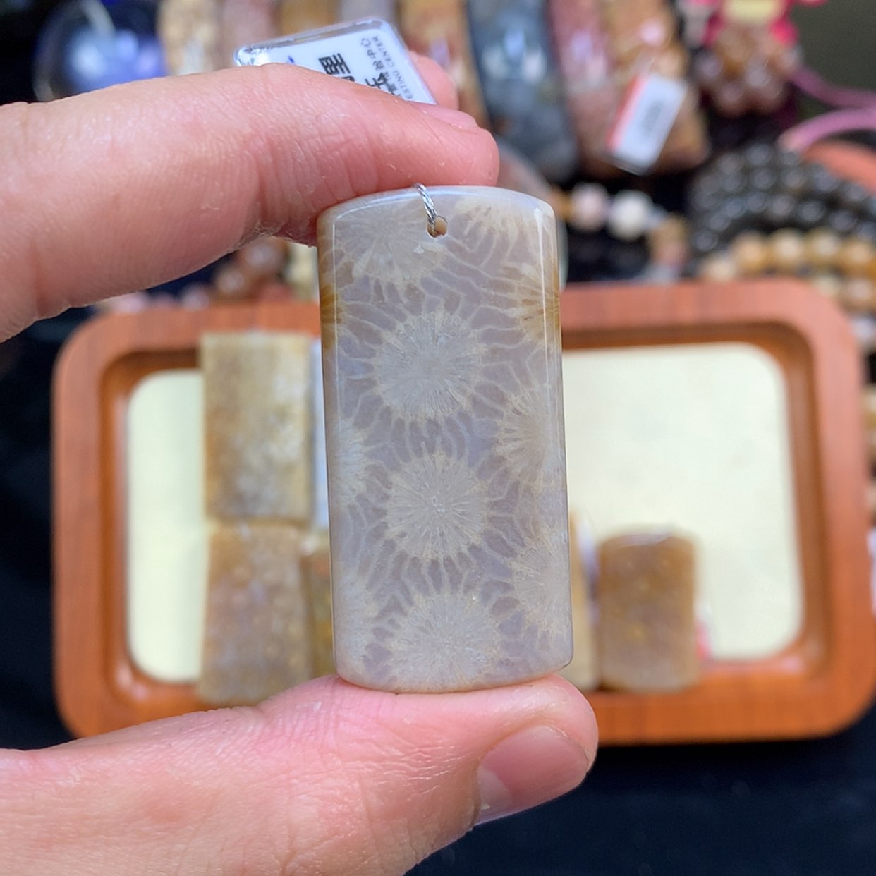 【闪购商品】颈饰未镶嵌硅化珊瑚（珊瑚玉）9号睫毛大花打灯超美！