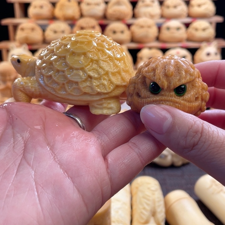 竹金钱龟微瑕福利zzzzz