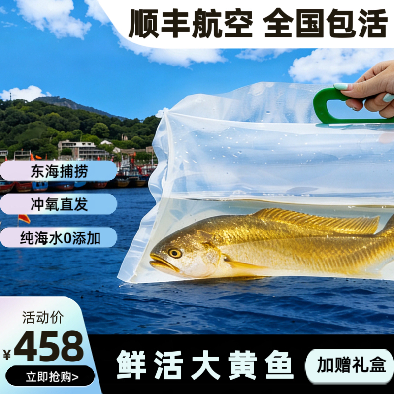 【航空直达活黄鱼】象山半野生大黄鱼包活东海深海黄花鱼1000g礼盒