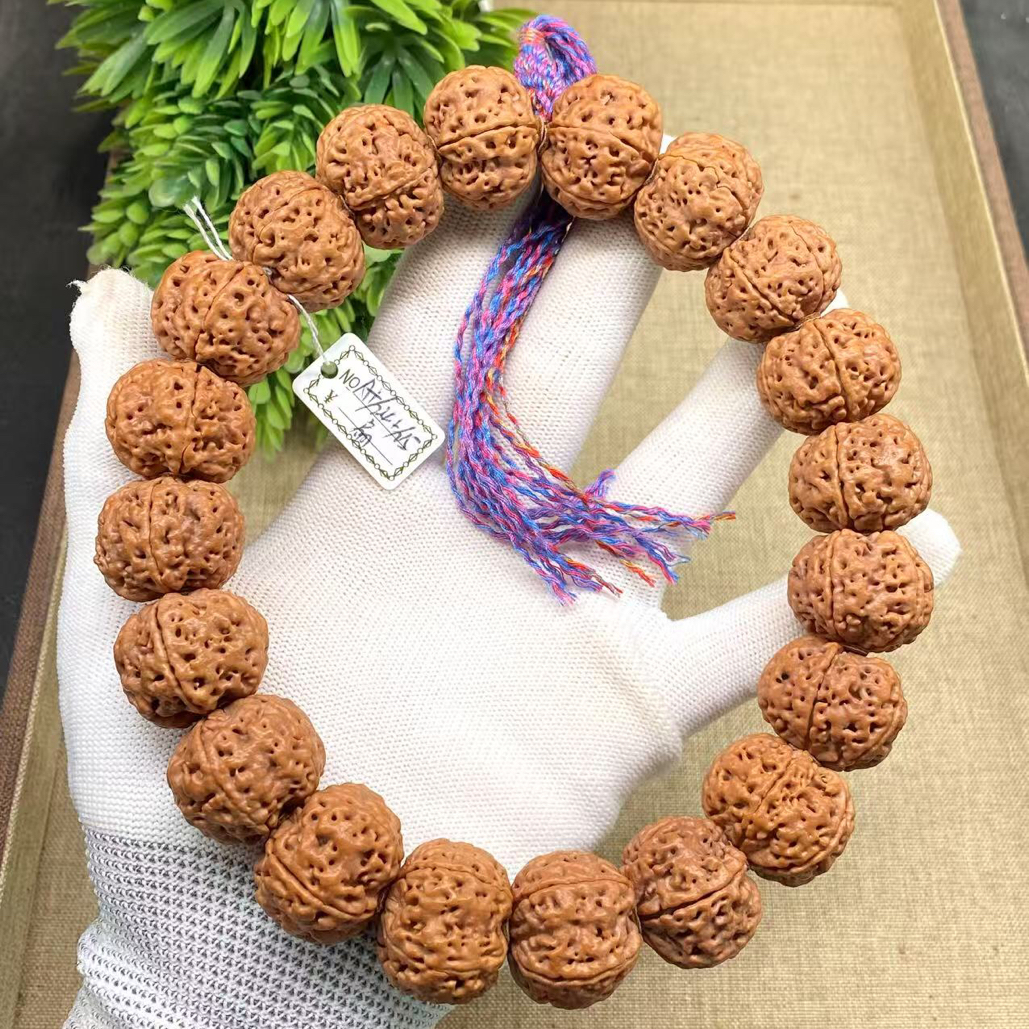 尼泊尔大金刚古龙霸王龙扇面手持A+/24.5/25