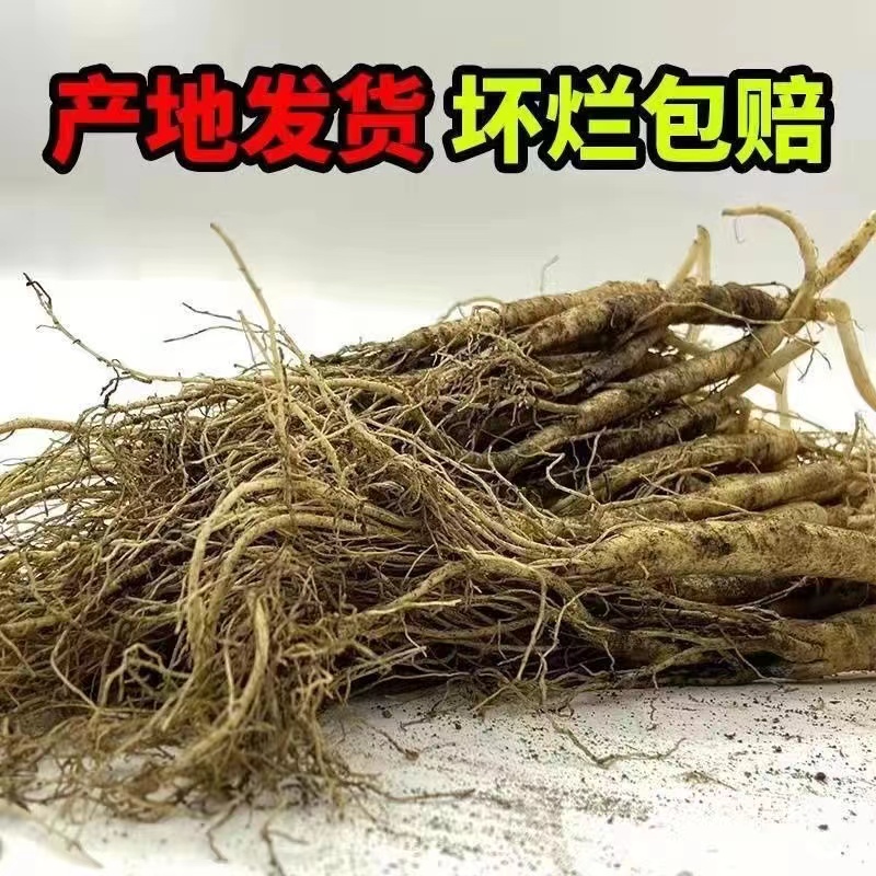 （微残小瑕疵）人参须子-煲汤 泡酒 泡茶 泡水