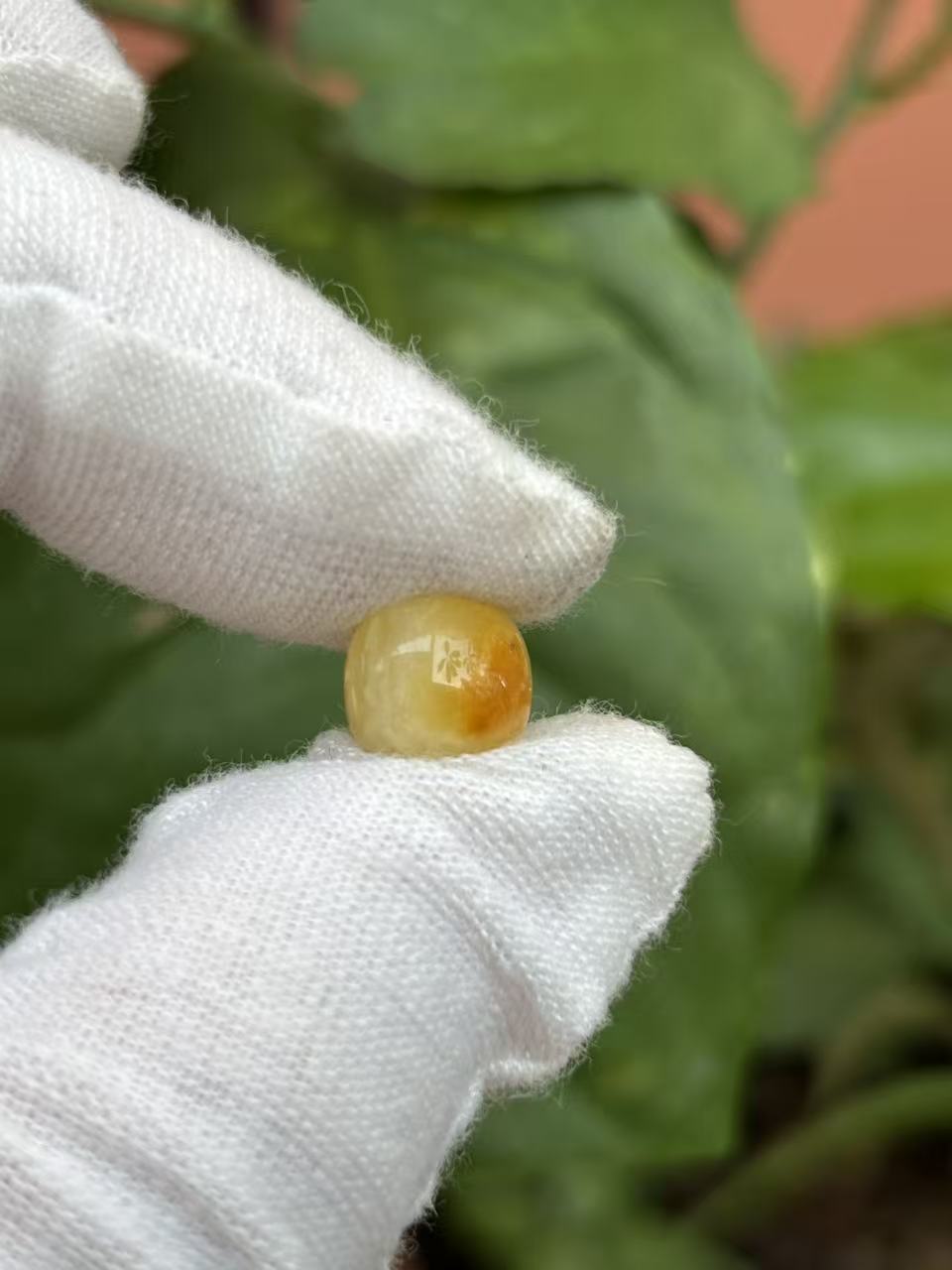 1969天然蜜蜡琥珀老型墩子9.1x8.4mm