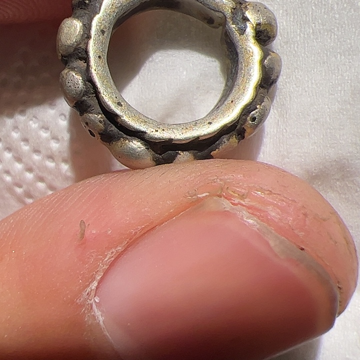 香榧木在这里的确