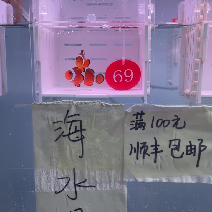 海水鱼精品黑边2条4-5