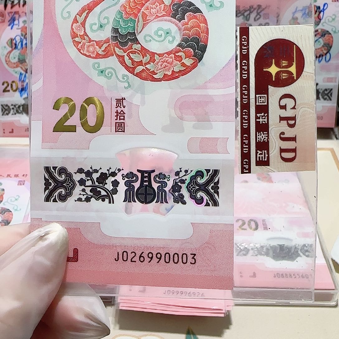 纸026990003。。豹子身
