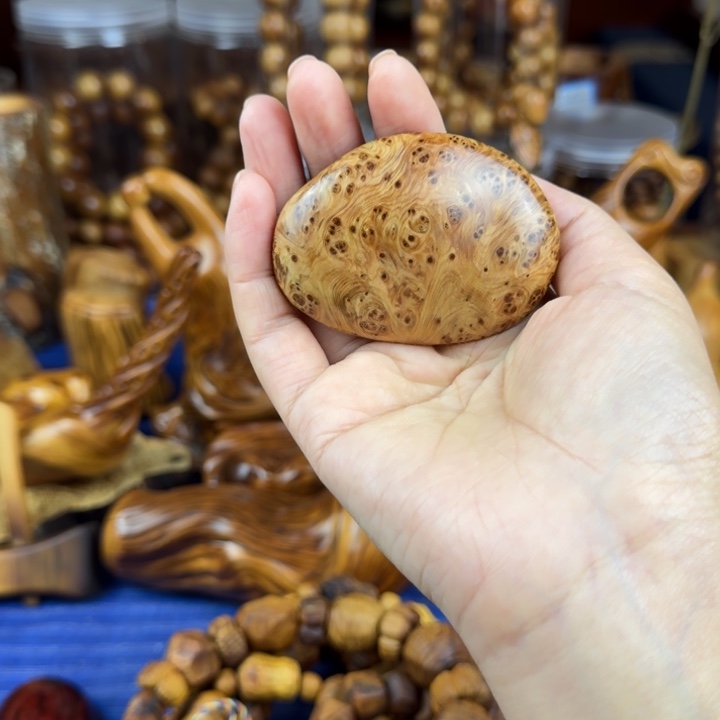 天***水柏木（崖柏）北太行崖柏陈化变异满花