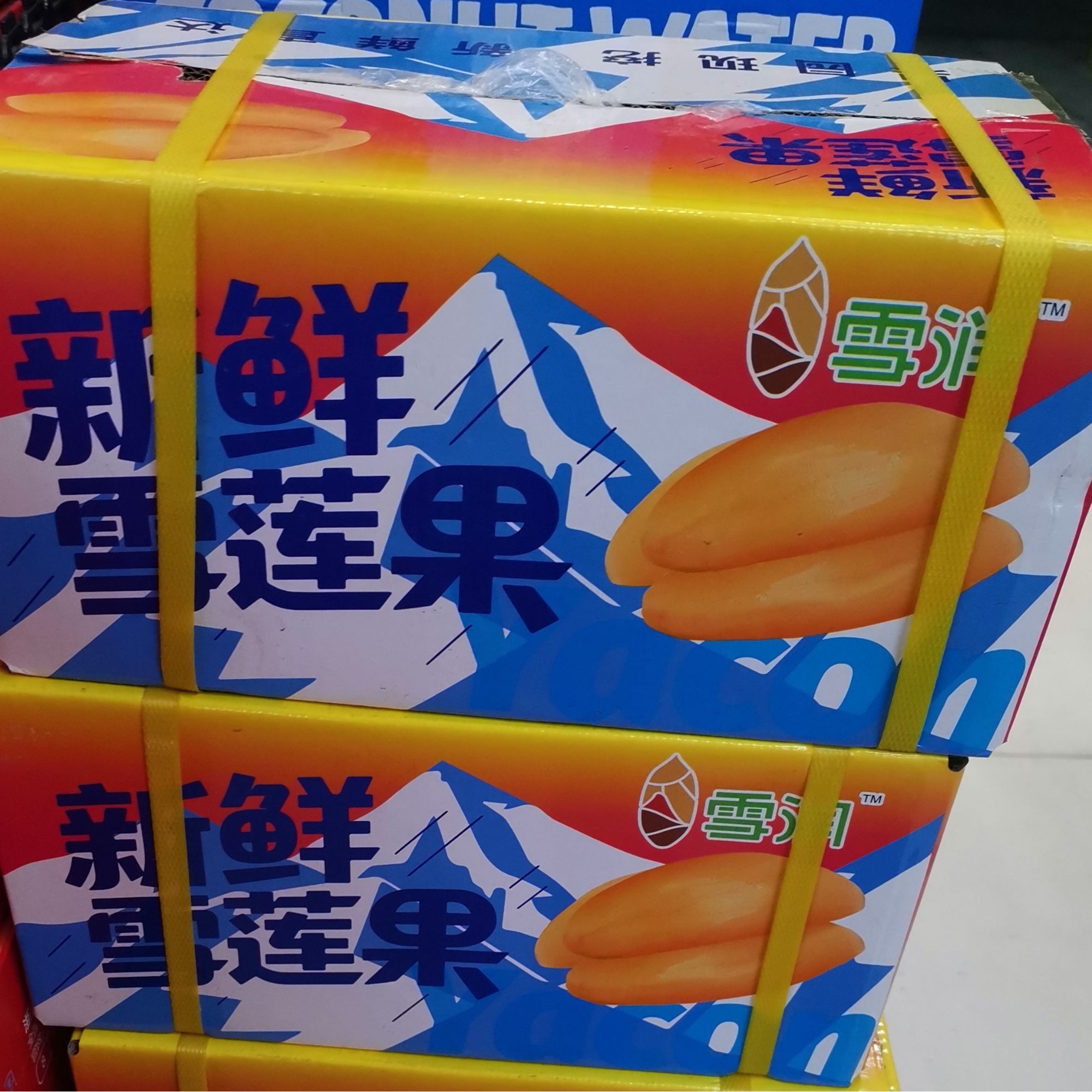 雪莲果 约4.5-5斤/箱