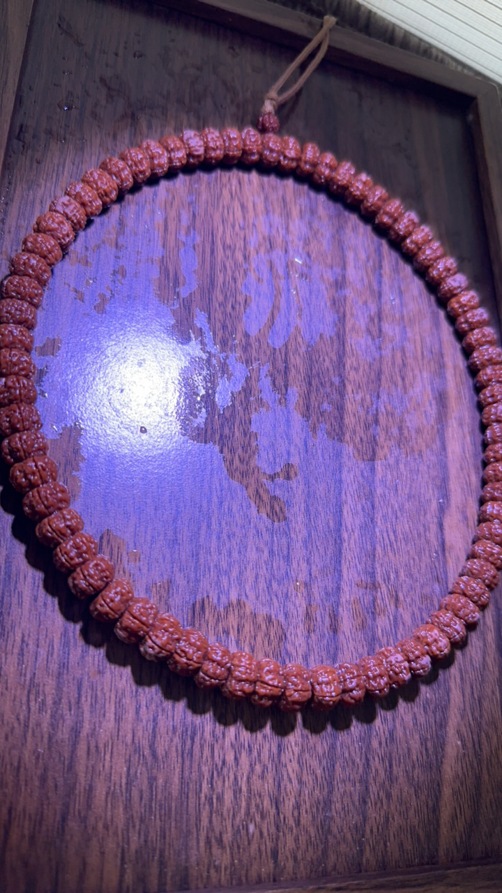 精选龙切树王双圈手串，原生态天然籽肉度饱满尺寸10mm至11mm左右