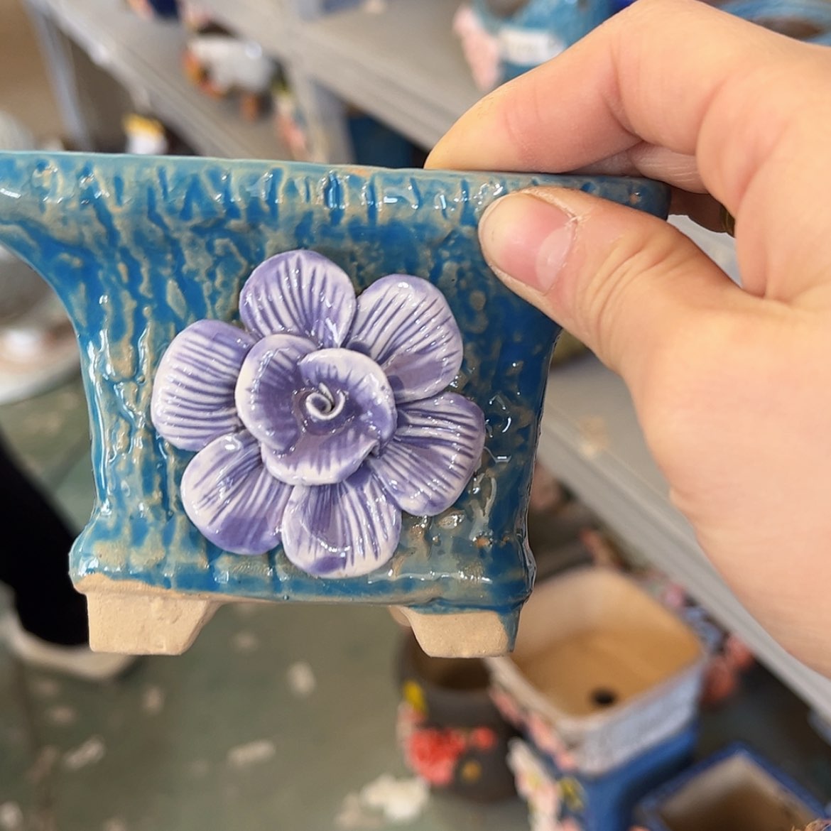 【闪购商品】红陶福利