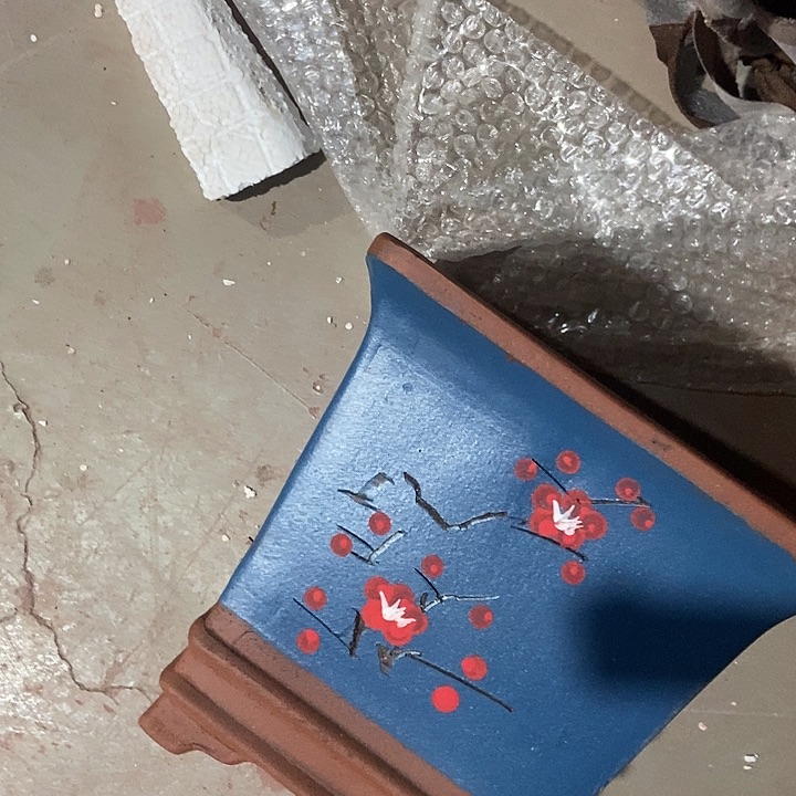 20 花盆花盆花盆花盆花盆花盆