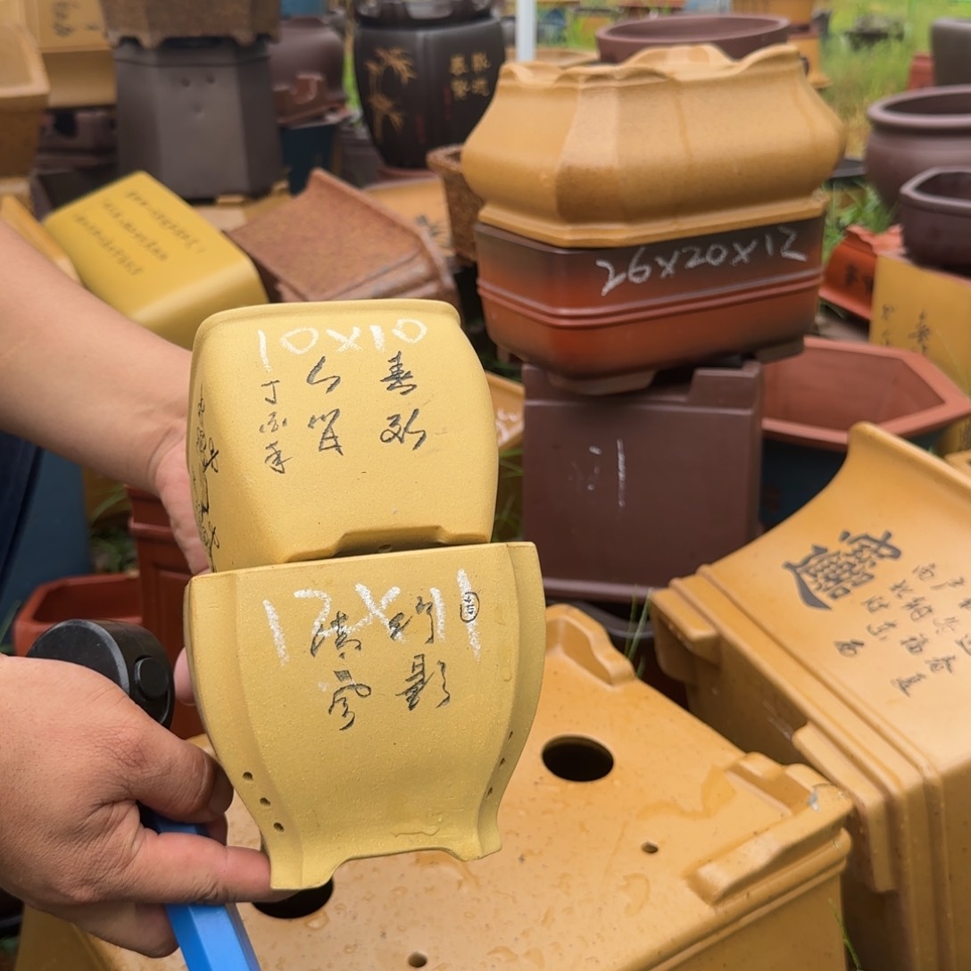 紫砂花盆紫砂花盆花盆盆景盆栽