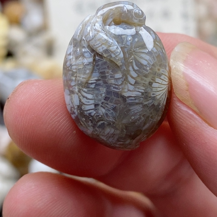 颈饰未镶嵌硅化珊瑚（珊瑚玉）小