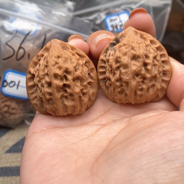 猴头核桃吊坠9776号全品金牛37