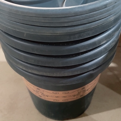 树脂微瑕新加仑盆5个墨绿➕托