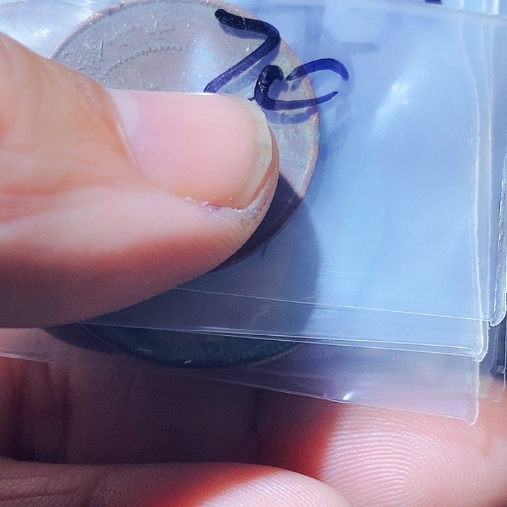 蜂****）包邮文创日用品的