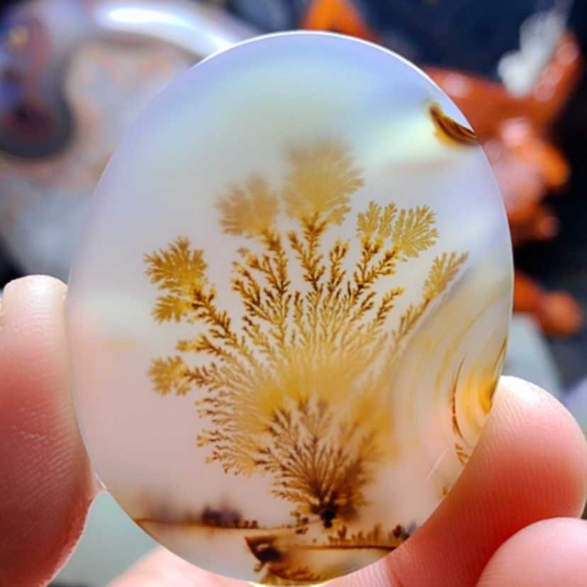 【闪购商品】玛瑙/玉髓颈饰未镶嵌