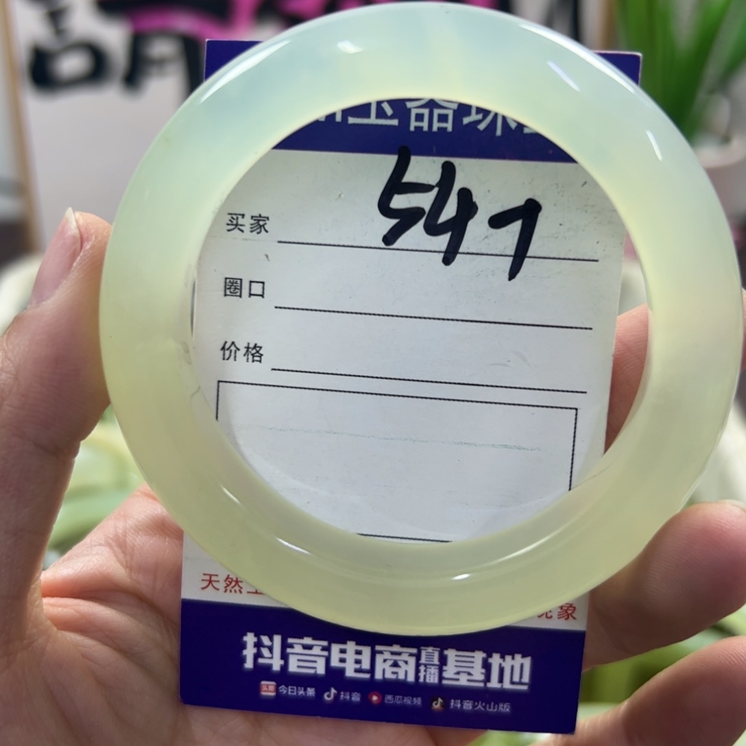 蛇纹石玉手镯未镶嵌488