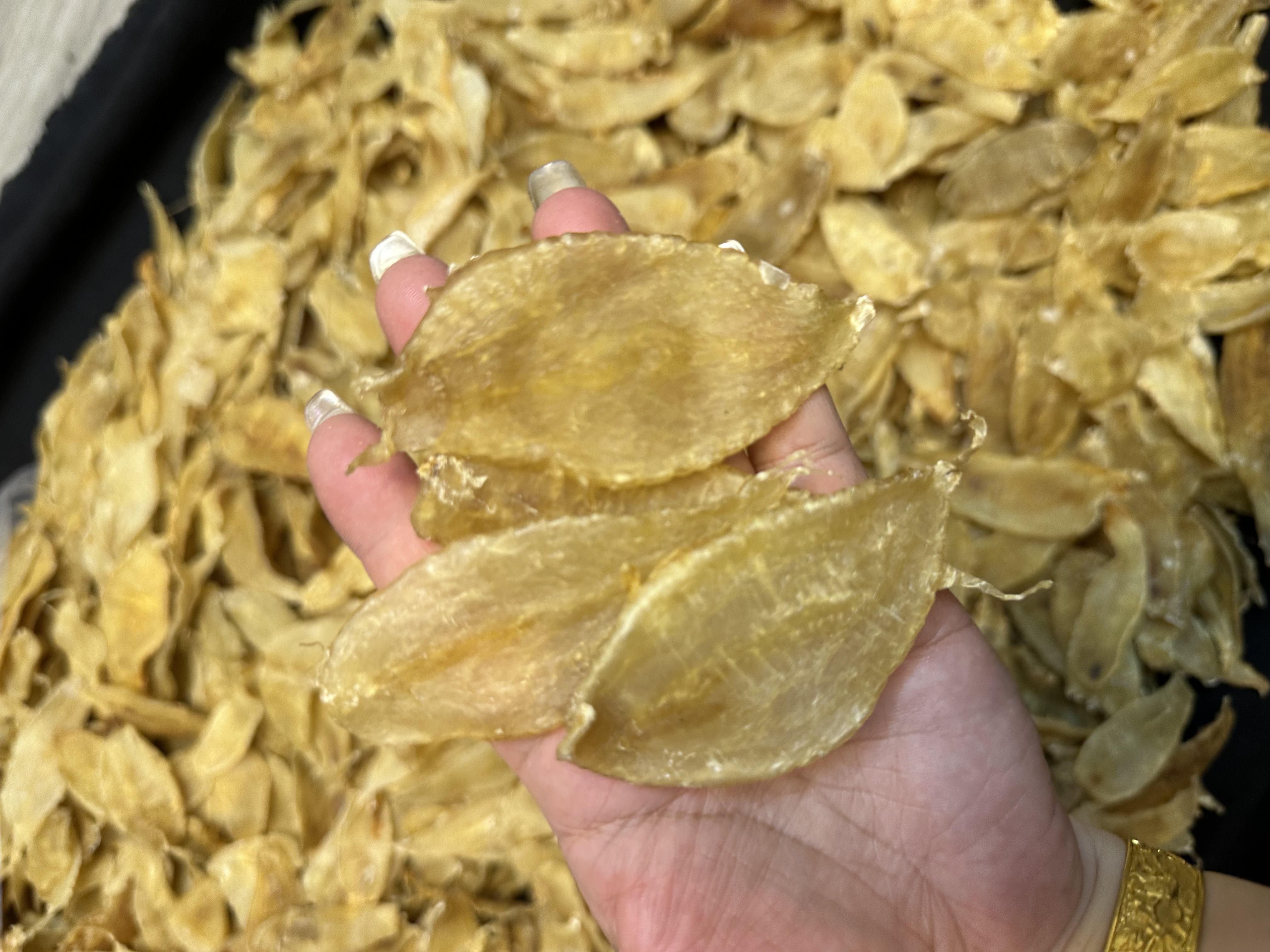 广东潮汕+赤嘴鱼鳔