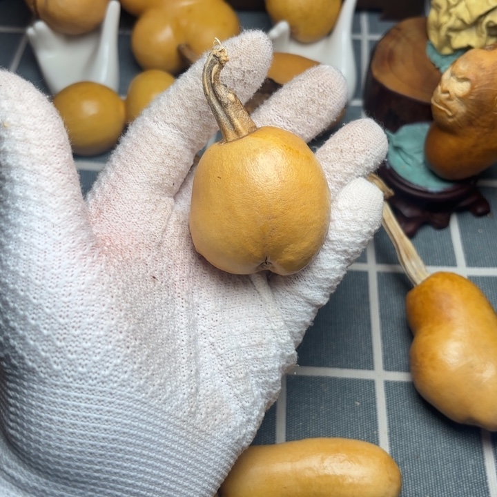 *****葫芦666666666666666